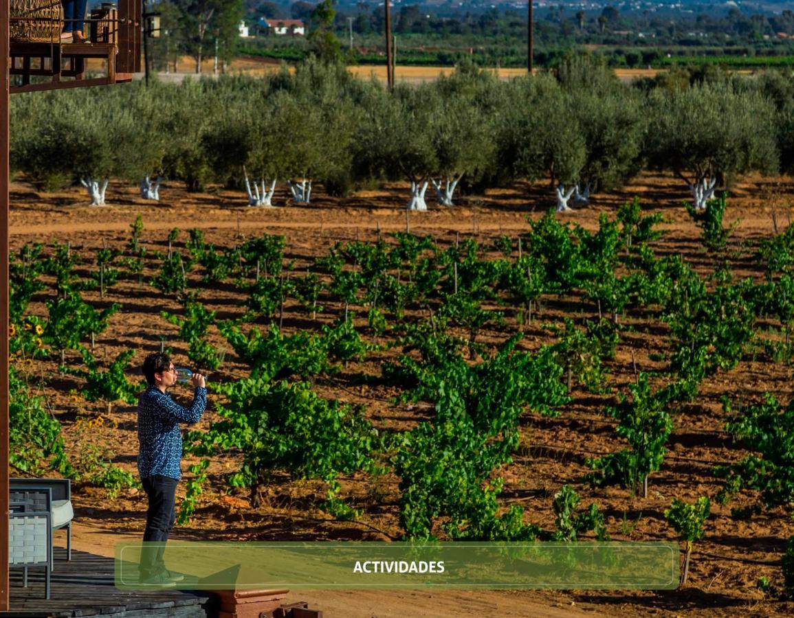Entre Vinedos By Hotel Boutique Valle De Guadalupe Bagian luar foto