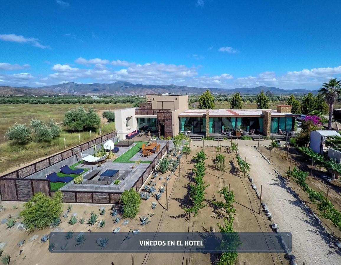 Entre Vinedos By Hotel Boutique Valle De Guadalupe Bagian luar foto