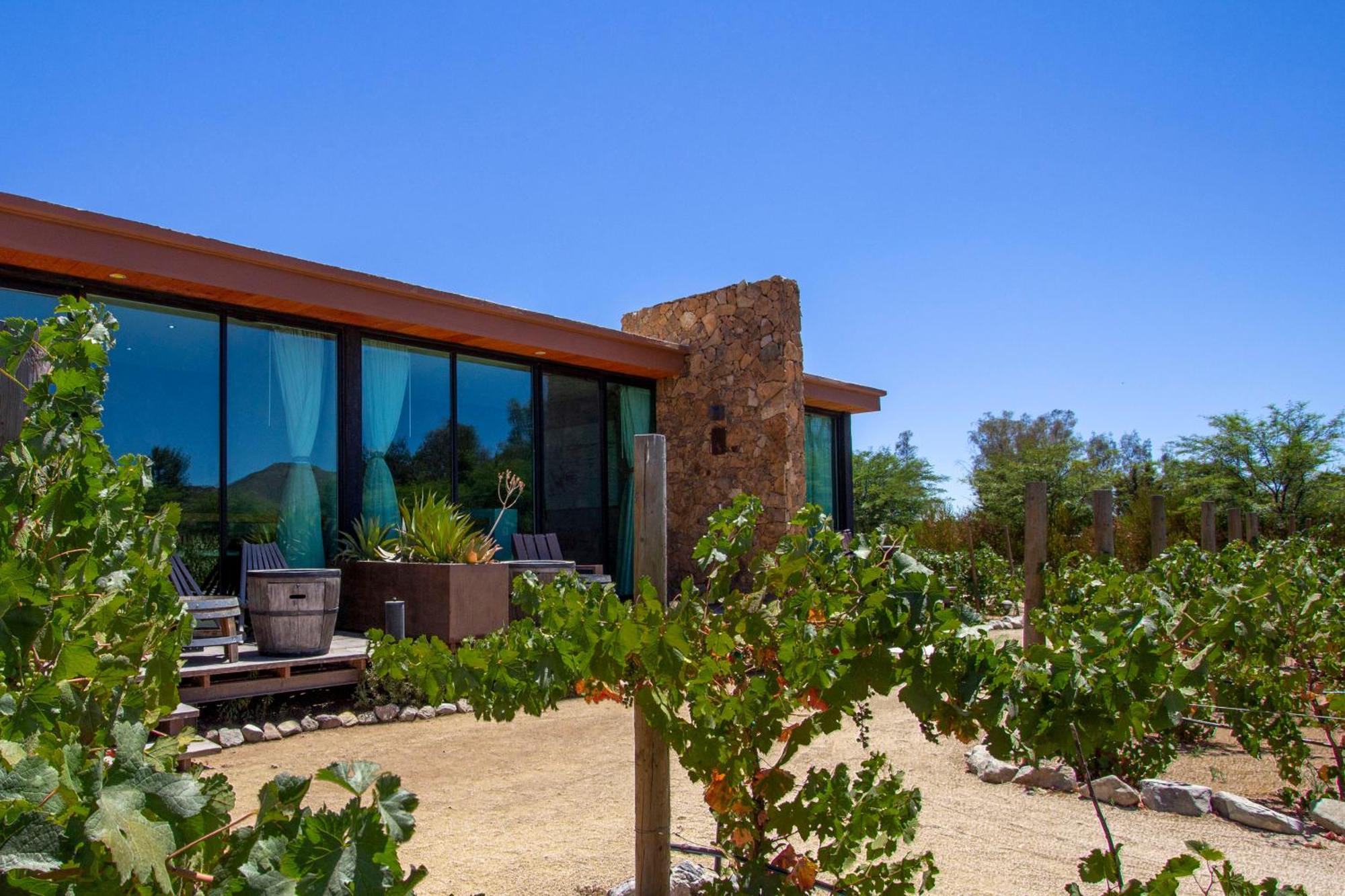 Entre Vinedos By Hotel Boutique Valle De Guadalupe Bagian luar foto