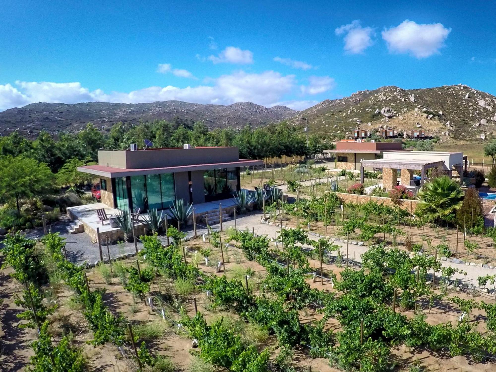 Entre Vinedos By Hotel Boutique Valle De Guadalupe Ruang foto